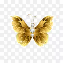 蝴蝶网昆虫金剪贴画-金花-空若网 蝴蝶网昆虫金剪贴画-金花-空若网