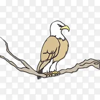 线条艺术 卡通 秃鹫-空若网 线条艺术 卡通 秃鹫-空若网