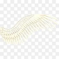 线条 白色 翅膀-空若网 线条 白色 翅膀-空若网
