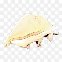 骨头 鼻子 头骨-空若网 骨头 鼻子 头骨-空若网