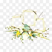 昆虫 植物-空若网 昆虫 植物-空若网