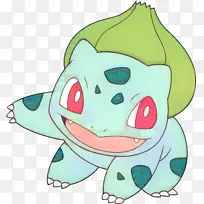 鱼 鼻子 植物-空若网 鱼 鼻子 植物-空若网