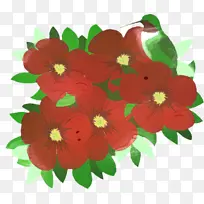 一年生植物 草本植物 锦葵-空若网 一年生植物 草本植物 锦葵-空若网