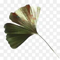 绘画 树叶 水彩画-空若网 绘画 树叶 水彩画-空若网