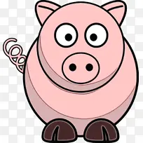 �� ��ͨ ����-������