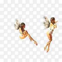 仙女 昆虫 计算机-空若网 仙女 昆虫 计算机-空若网