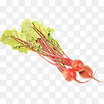 �߲� ��˸� ʳƷ-������