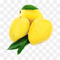 芒果 阿尔方索 汤米阿特金斯-空若网 芒果 阿尔方索 汤米阿特金斯-空若网