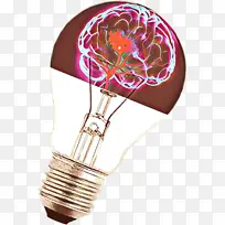 白炽灯泡 灯 电-空若网 白炽灯泡 灯 电-空若网