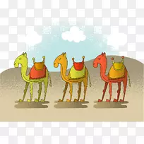骆驼沙漠图埃及沙漠骆驼-空若网 骆驼沙漠图埃及沙漠骆驼-空若网