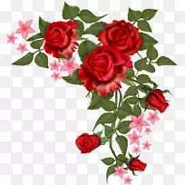 爱情歌曲youtube远程恋爱-玫瑰载体-空若网 爱情歌曲youtube远程恋爱-玫瑰载体-空若网