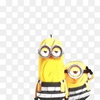 猫头鹰 黄色 动画-空若网 猫头鹰 黄色 动画-空若网