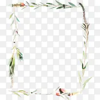 �ɹ���Ʒ��֦ ���� ֲ�ﾥ-������