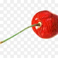 水果 红色 植物-空若网 水果 红色 植物-空若网