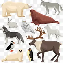 动物 犀牛 狼-空若网 动物 犀牛 狼-空若网