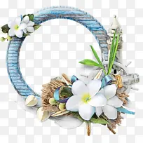 画框 花卉 水彩画-空若网 画框 花卉 水彩画-空若网