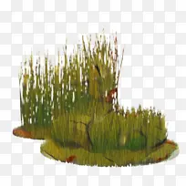 草 水族馆 树-空若网 草 水族馆 树-空若网