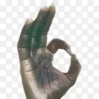 动物 手指 毛皮-空若网 动物 手指 毛皮-空若网