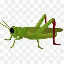 ���� ���� ���Ϻ�����-������