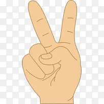 ���� �� ��ָ-������