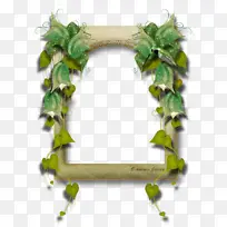 Ë®²Ê» Ö²Îï ´´Òâ-¿ÕÈôÍø Ë®²Ê» Ö²Îï ´´Òâ-¿ÕÈôÍø