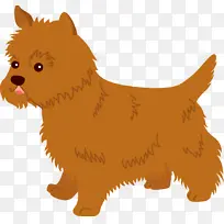 诺里奇梗 凯恩梗 澳大利亚梗-空若网 诺里奇梗 凯恩梗 澳大利亚梗-空若网