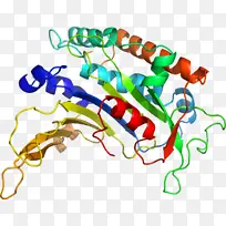 线条 点 动物形象-空若网 线条 点 动物形象-空若网