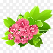 �����ط�װ�ĺ�Ǽ�������-��ʾ�-������