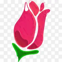 水果 红色 植物-空若网 水果 红色 植物-空若网