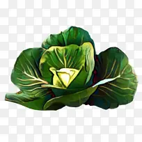 春季蔬菜 卷心菜 花-空若网 春季蔬菜 卷心菜 花-空若网