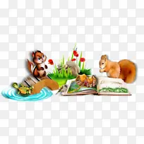 ���� ���� ����-������