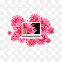 电脑显示器 笔记本电脑 台式电脑-空若网 电脑显示器 笔记本电脑 台式电脑-空若网