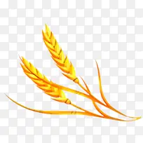 草 线 谷物-空若网 草 线 谷物-空若网