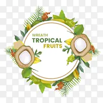 热带水果 水果 黄皮-空若网 热带水果 水果 黄皮-空若网