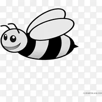 蜜蜂 画册 绘画-空若网 蜜蜂 画册 绘画-空若网