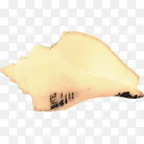 �°� ���� ��ɫ-������