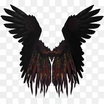 ��� ��ʹ ͼ��-������