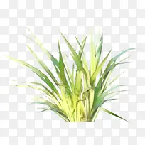 Ìð²Ý ³ø·¿»¨Ô° »¨Ô°-¿ÕÈôÍø Ìð²Ý ³ø·¿»¨Ô° »¨Ô°-¿ÕÈôÍø