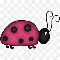 瓢虫甲虫 甲虫 绘画-空若网 瓢虫甲虫 甲虫 绘画-空若网