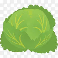 蔬菜 素食 卷心菜-空若网 蔬菜 素食 卷心菜-空若网
