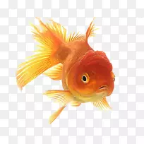 ÐÉÐɶ¯»µñËÜ-Ë®×å¹Ý-¿ÕÈôÍø ÐÉÐɶ¯»µñËÜ-Ë®×å¹Ý-¿ÕÈôÍø