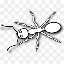 ÂìÒÏ ¼ôÓ° »æ»-¿ÕÈôÍø ÂìÒÏ ¼ôÓ° »æ»-¿ÕÈôÍø