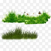 草坪 草 绘画-空若网 草坪 草 绘画-空若网