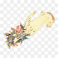 性格 羽毛 翅膀-空若网 性格 羽毛 翅膀-空若网