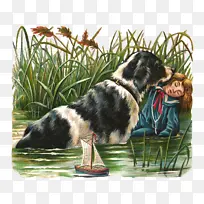 Ŧ����Ȯ ѩ��Ȯ ������Ȯ-������