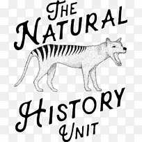 猫 老虎 画野生动物-空若网 猫 老虎 画野生动物-空若网