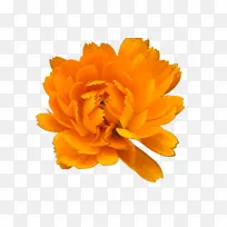 ���پ� ���� ��-������