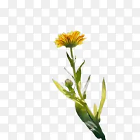 ���پ� ���� ����-������