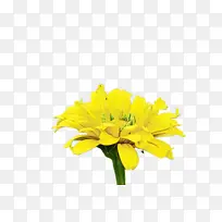 ���پ� ���� ����-������