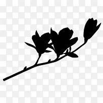 树枝 植物茎 花-空若网 树枝 植物茎 花-空若网